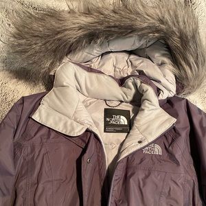 North Face Winter Jacket, Large